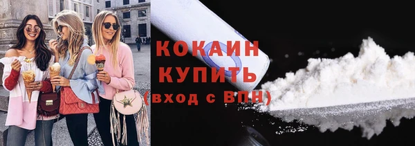 стафф Новозыбков