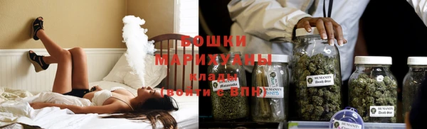 стафф Новозыбков