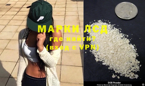 стафф Новозыбков