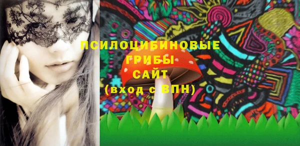 стафф Новозыбков
