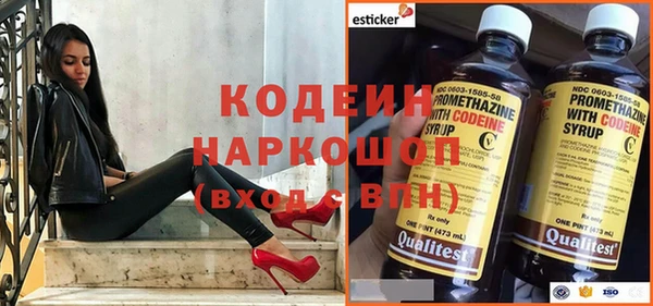 стафф Новозыбков