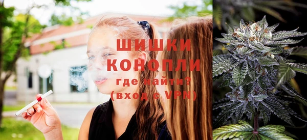 стафф Новозыбков