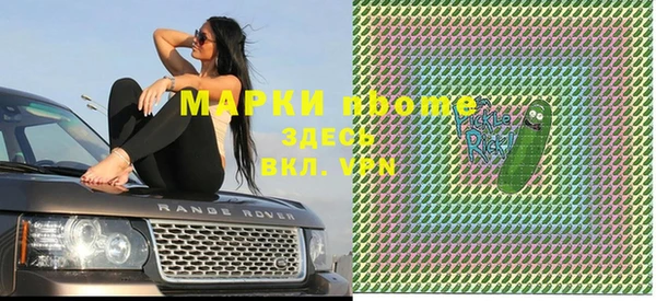 стафф Новозыбков
