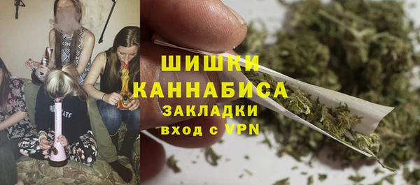 стафф Новозыбков