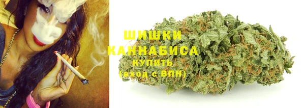 стафф Новозыбков