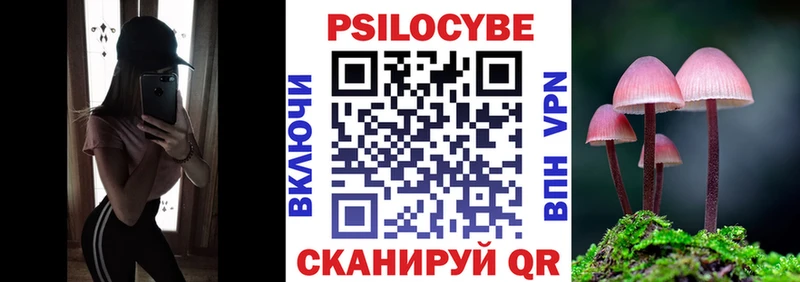 darknet состав  магазин  наркотиков  Сергач  Псилоцибиновые грибы MAGIC MUSHROOMS 